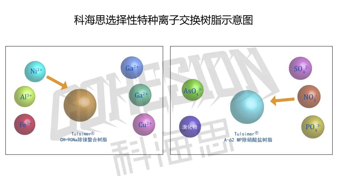 在實際水處理運行中，離子交換樹脂選擇性的影響因素有哪些